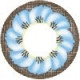 Big Flower Blue