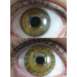 Rainbow Eyes Brownish Hazel
