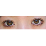 Big DM23 Brown