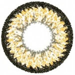 Geo Super Size Nudy Brown