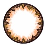 DM21 Brown