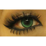 New Adult Green