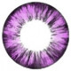 Forest Violet